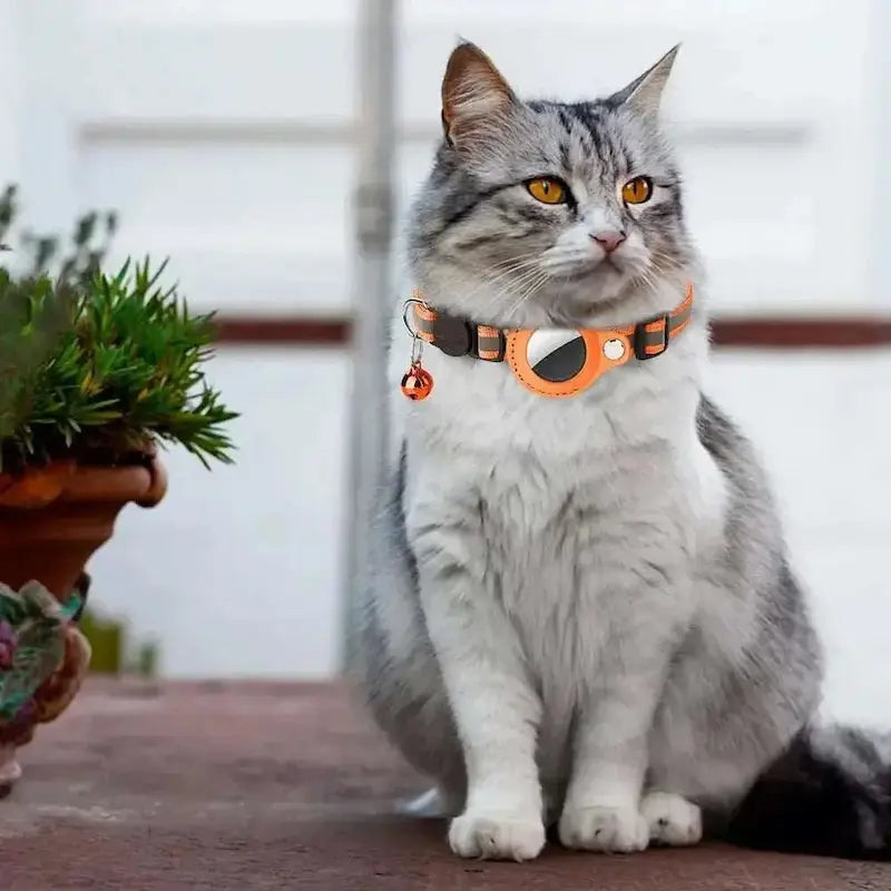 Collare AirTag Gatto