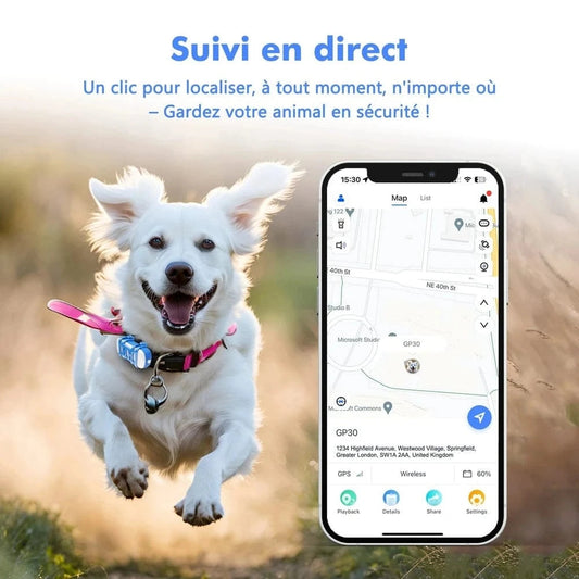 Collare GPS Con Abbonamento Per Gatti