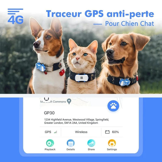 Collare GPS Con Abbonamento