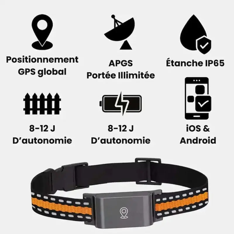 Collare GPS Senza Abbonamento In Tempo Reale
