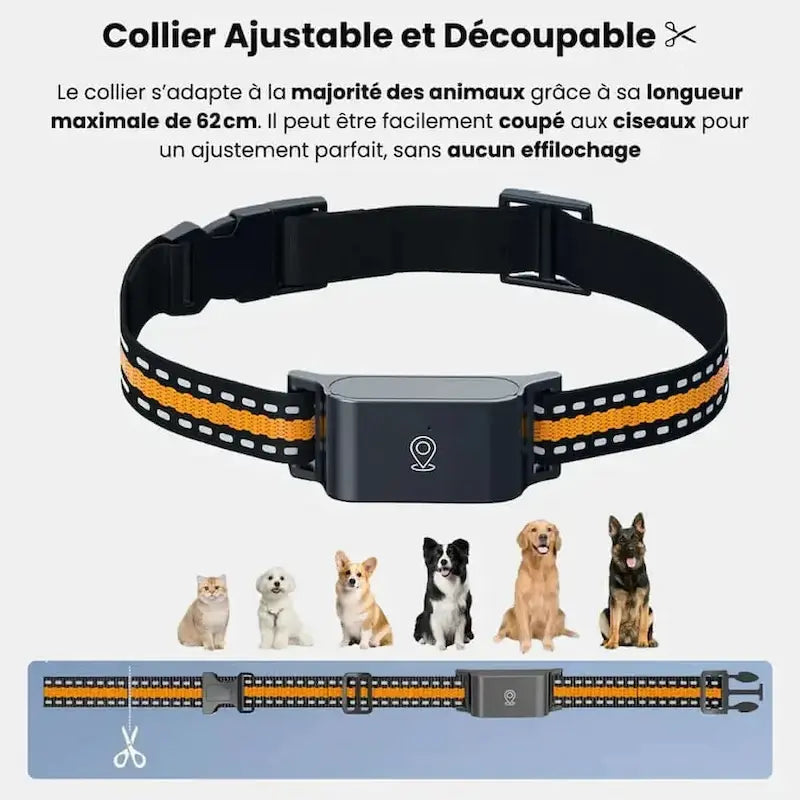 Collare GPS Senza Abbonamento Leggero