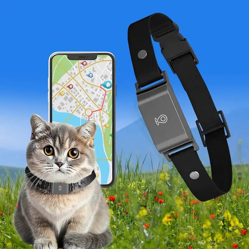 Collare GPS Senza Abbonamento