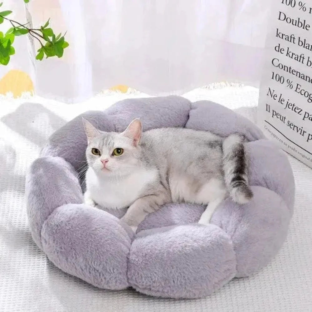 Cucce Per Gatto Comoda