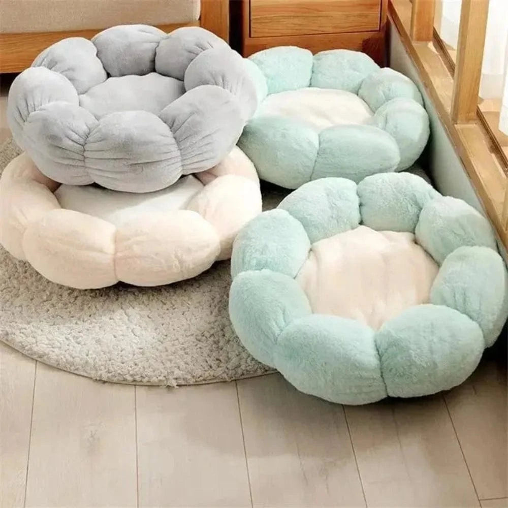 Cucce Per Gatto In Cuccia