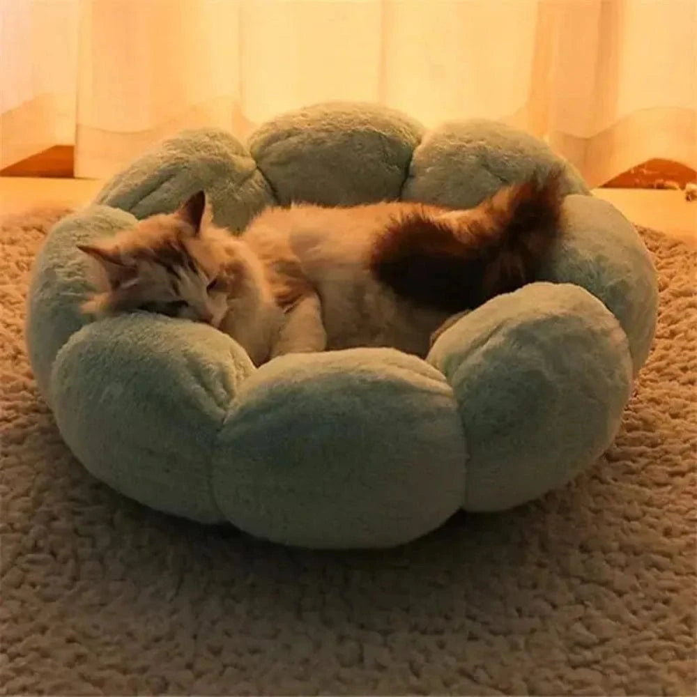 Cucce Per Gatto Morbida