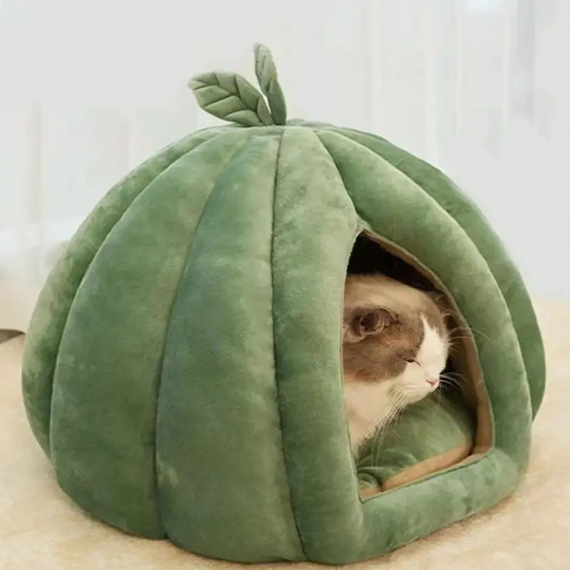 Cuccia A Forma Di Zucca Per Gatti Comoda