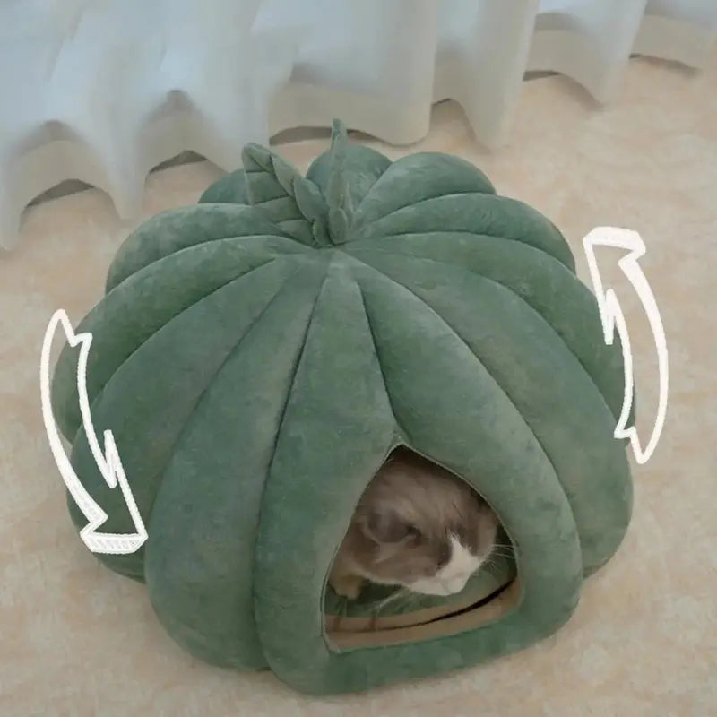 Cuccia A Forma Di Zucca Per Gatti In Cuccia