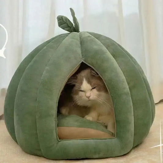 Cuccia A Forma Di Zucca Per Gatti