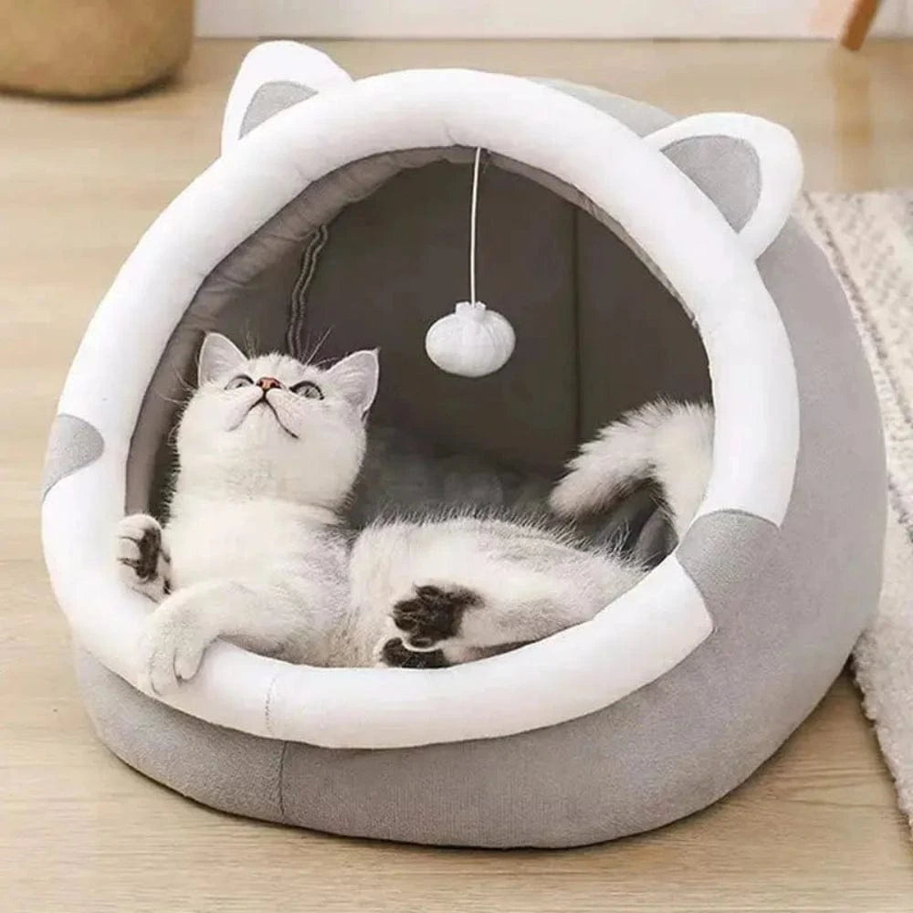 Cuccia Chiusa Per Gatti Comoda