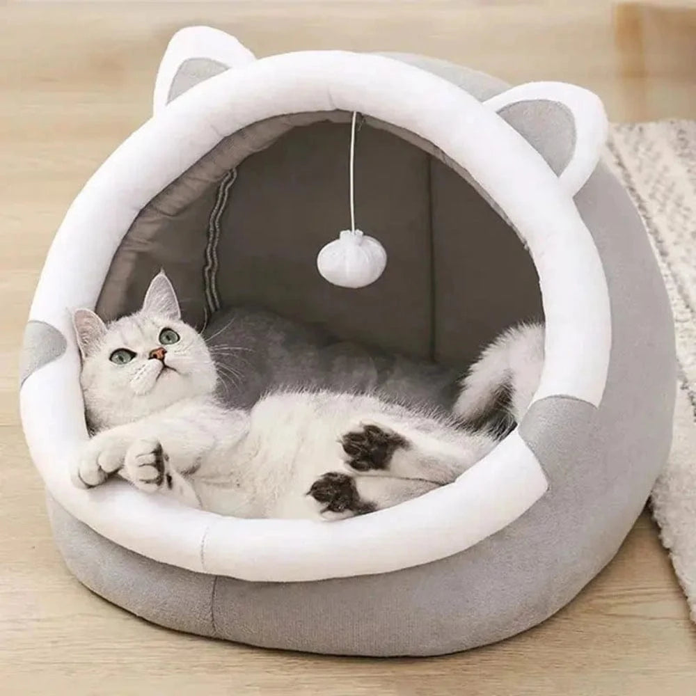Cuccia Chiusa Per Gatti In Cuccia