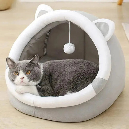 Cuccia Chiusa Per Gatti