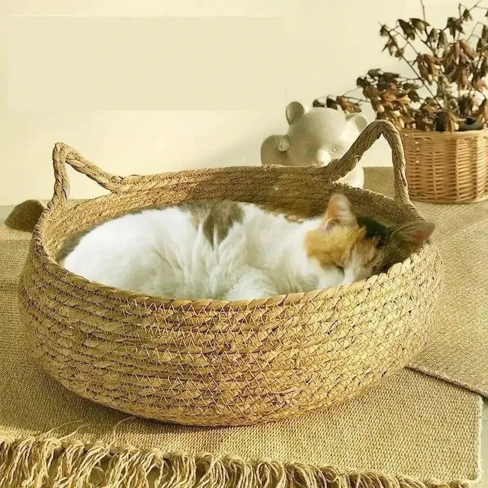 Cuccia In Vimini Per Gatti