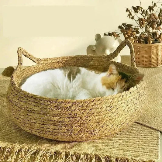 Cuccia In Vimini Per Gatti