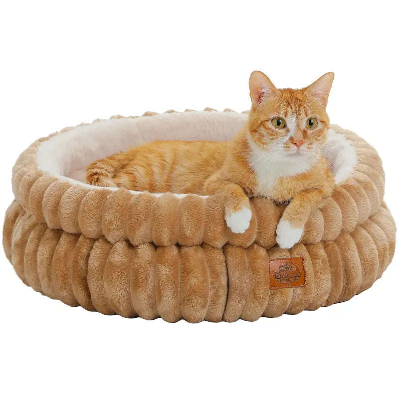 Cuccia Per Gatti Comoda