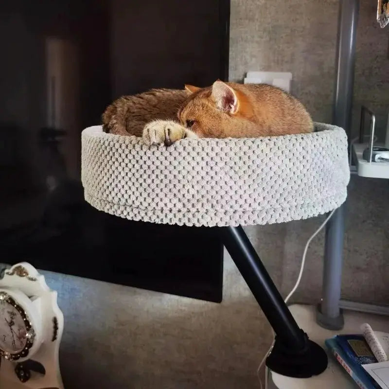 Cuccia Per Il Gatto Comoda