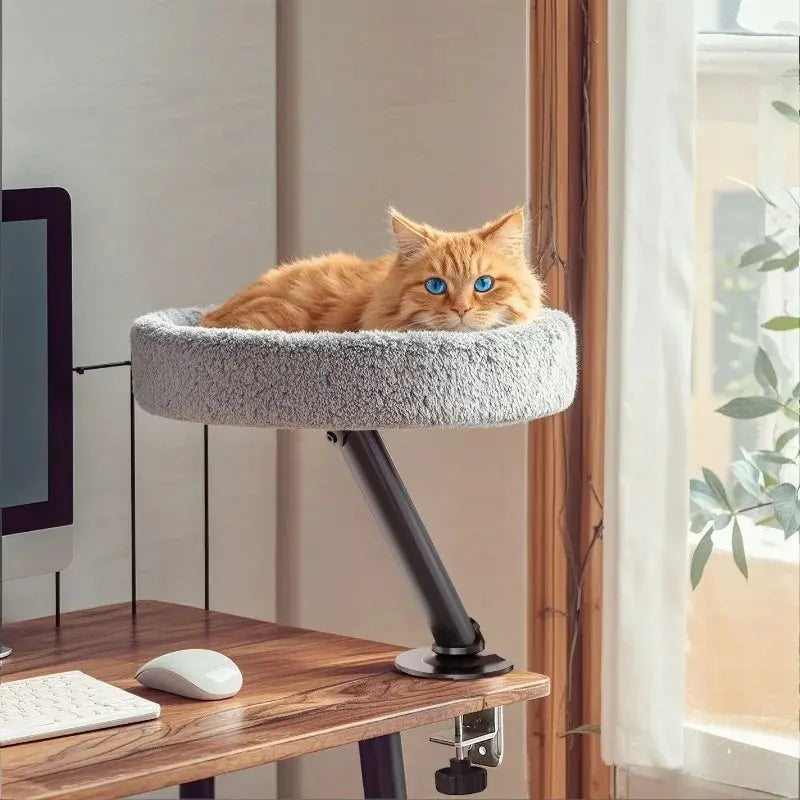 Cuccia Per Il Gatto Morbida