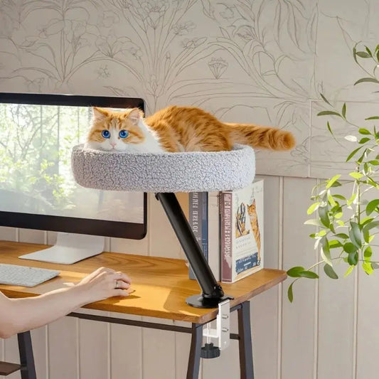 Cuccia Per Il Gatto Per Gatti