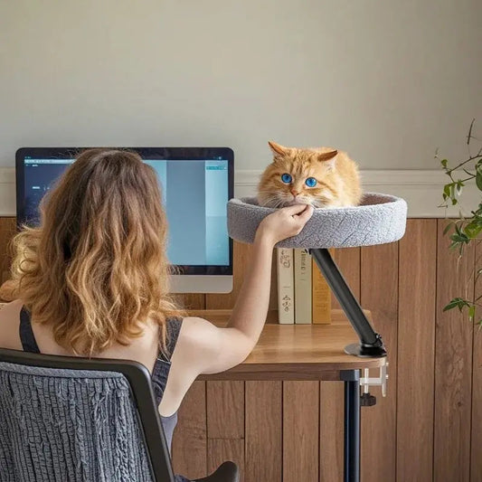 Cuccia Per Il Gatto
