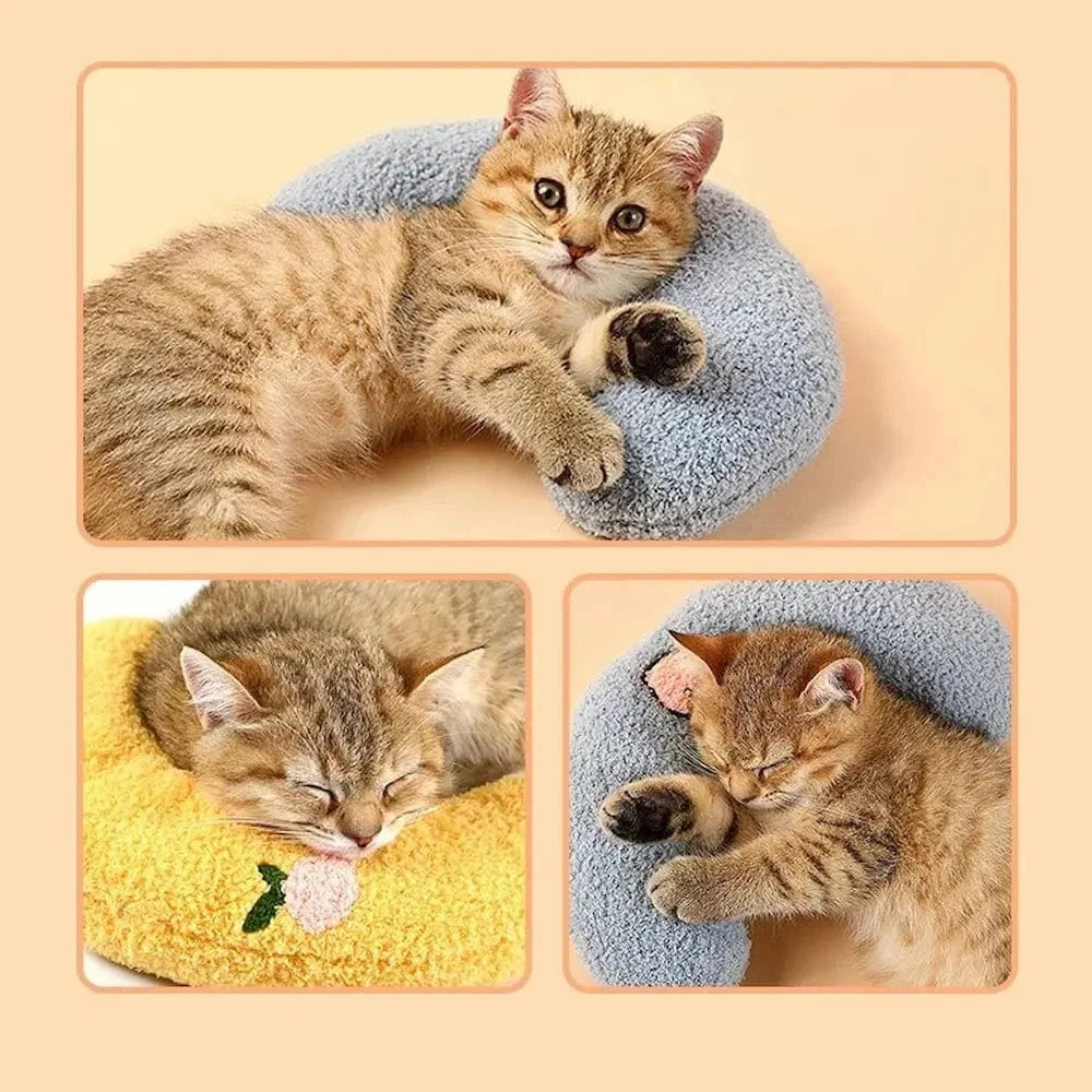 Cuscini Morbidi Per Gatti Calda