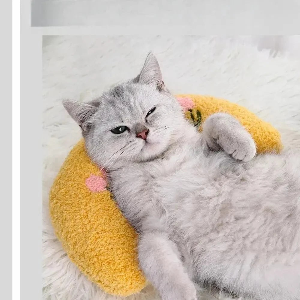 Cuscini Morbidi Per Gatti Comoda