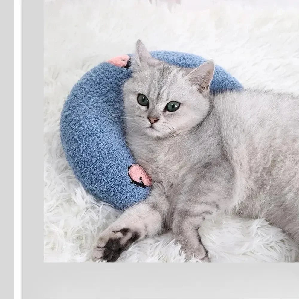 Cuscini Morbidi Per Gatti In Cuccia