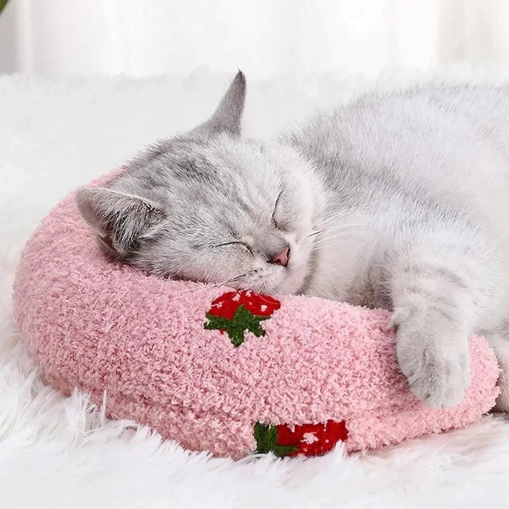 Cuscini Morbidi Per Gatti