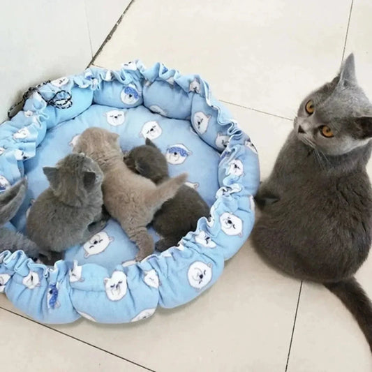 Cuscini Per Gatti