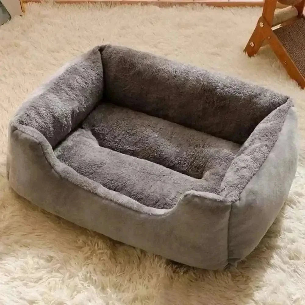 Cuscini Per Gatto In Cuccia