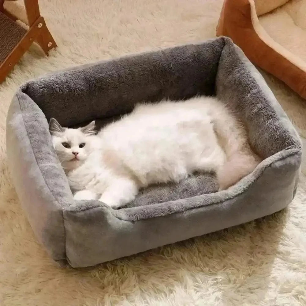 Cuscini Per Gatto Per Gatti