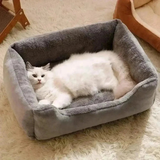 Cuscini Per Gatto Per Gatti