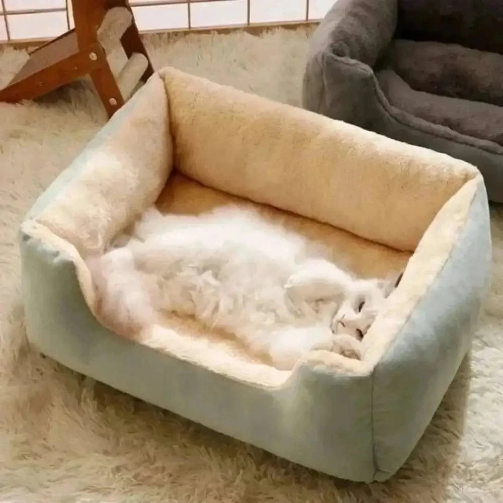 Cuscini Per Gatto
