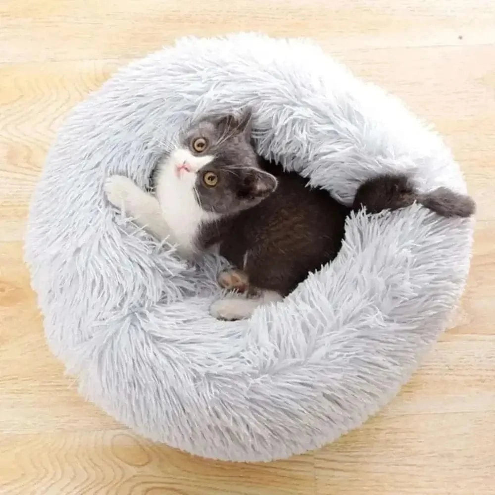 Cuscino Per Gatti Comoda