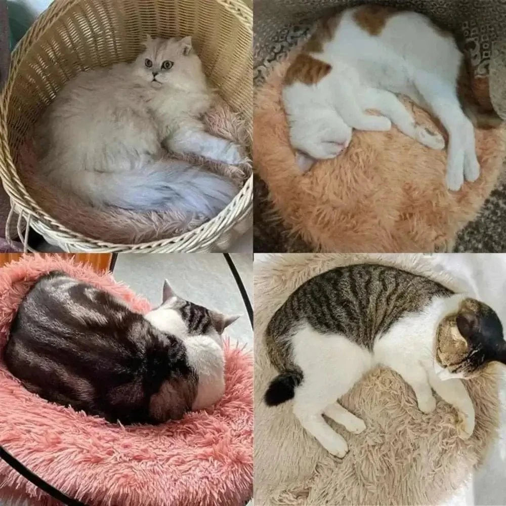 Cuscino Per Gatto Morbida