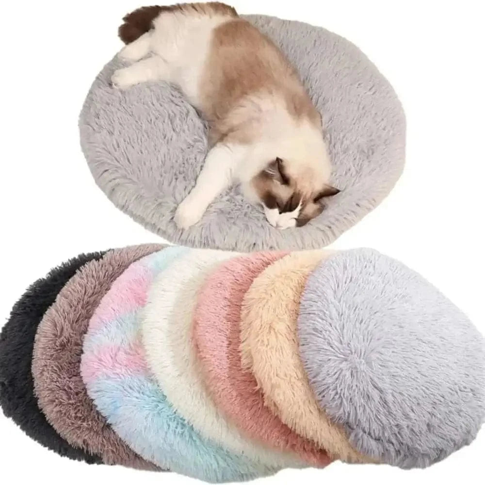 Cuscino Per Gatto