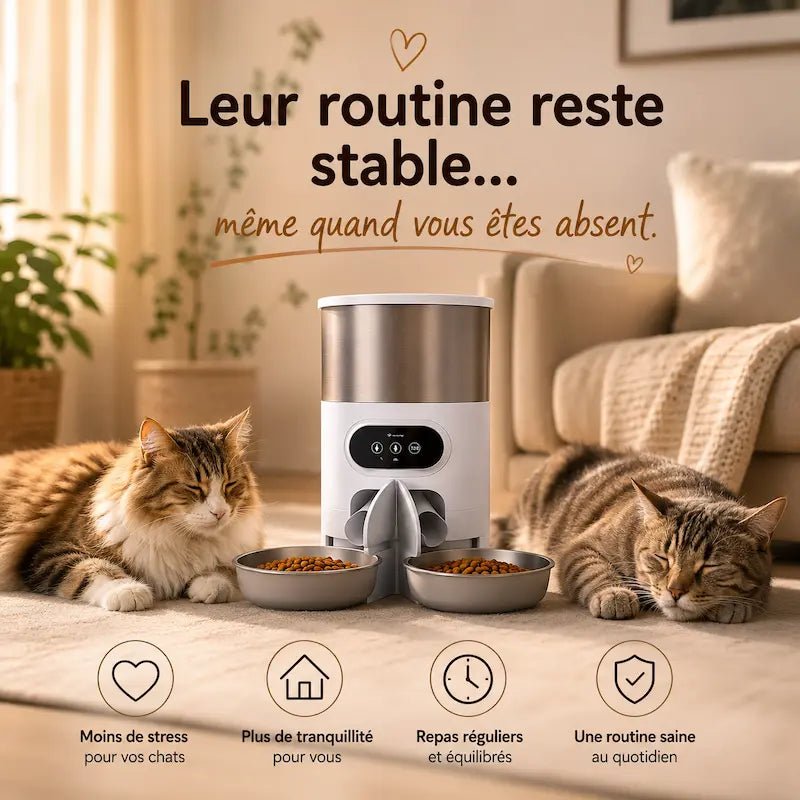 Distributore Automatico Cibo Gatti Doppio In Ceramica