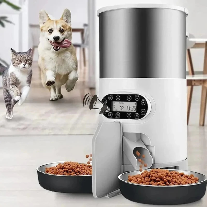 Distributore Automatico Cibo Gatti Doppio