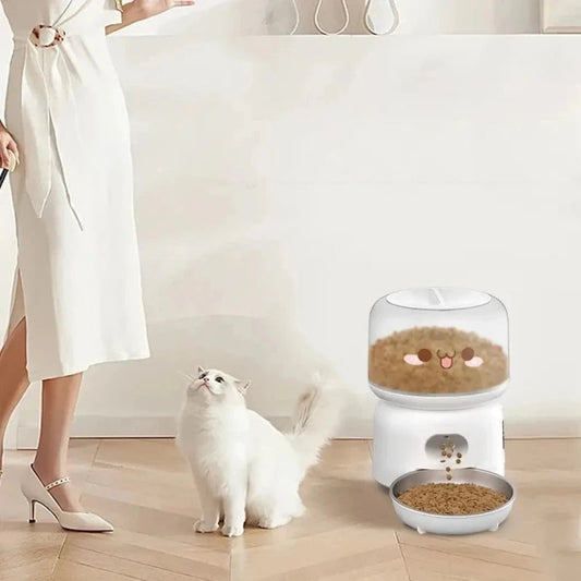 Distributore Automatico Cibo Gatto Per Gatti