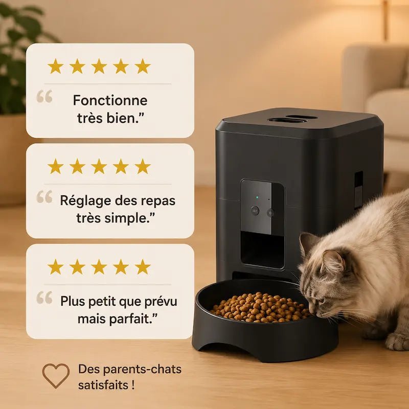 Distributore Crocchette Gatto In Ceramica