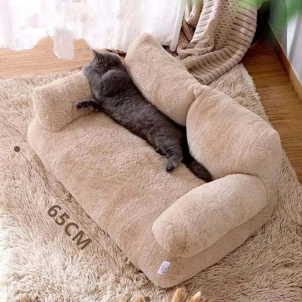 Divano Per Gatti Comoda