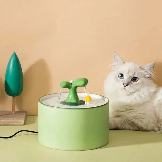 Fontana Acqua Gatto