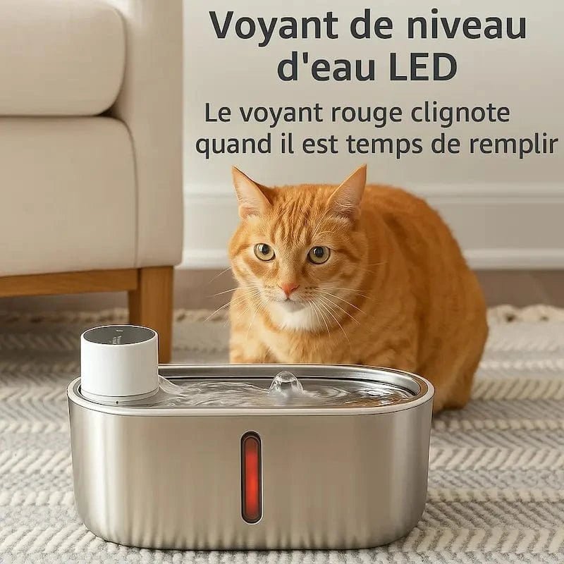 Fontana Gatti Senza Fili In Ceramica