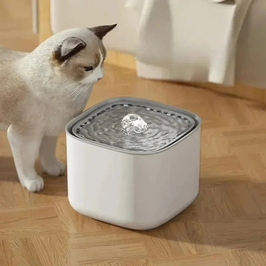 Fontana Gatto Per Gatti