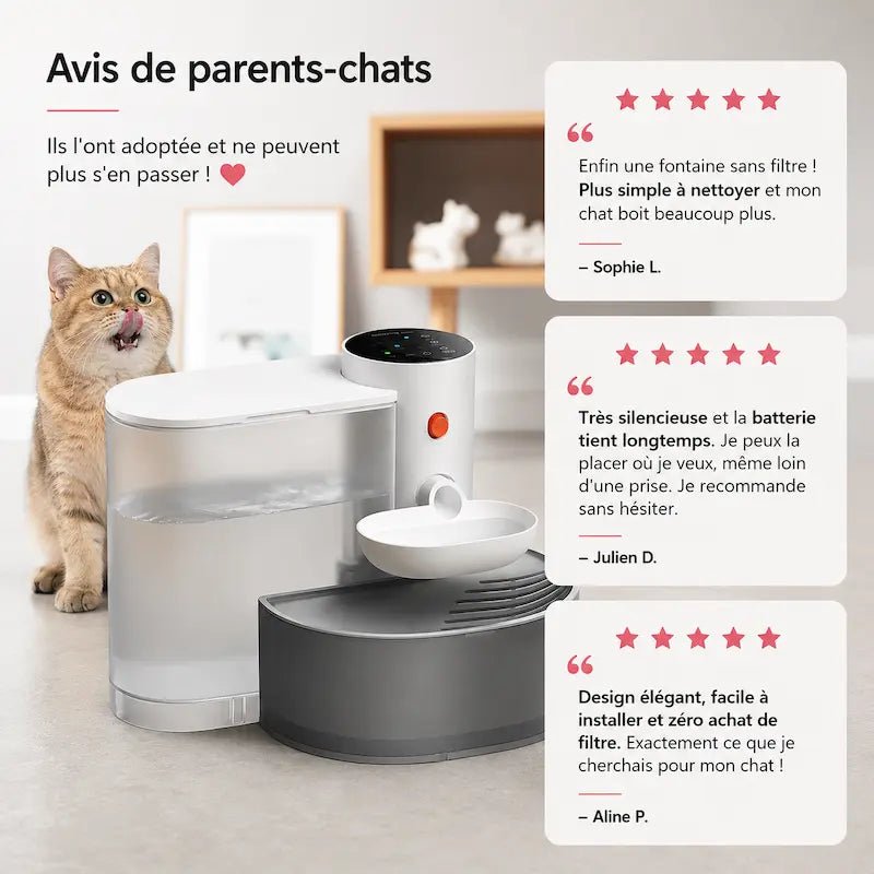Fontana Gatto Senza Fili In Ceramica