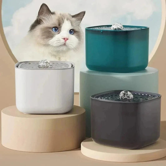 Fontana Gatto