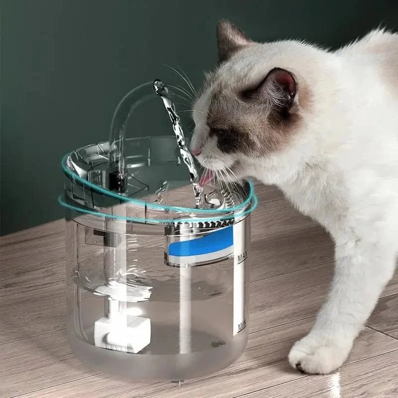 Fontana Per Gatti Con Sensore In Acciaio