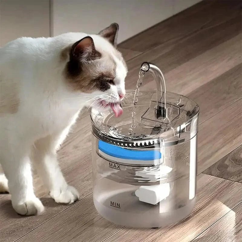 Fontana Per Gatti Con Sensore