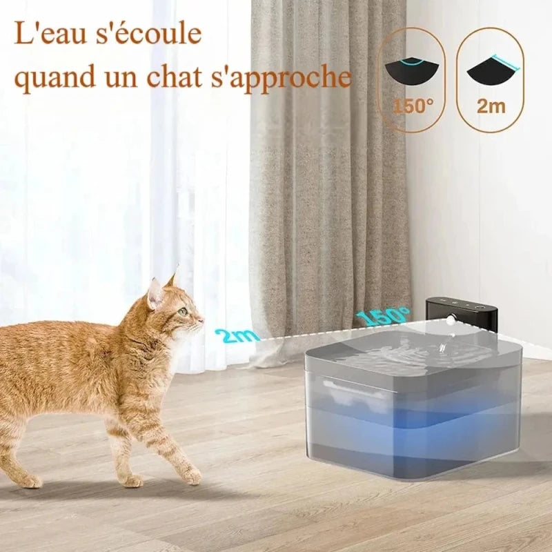 Fontana Per Gatti Senza Fili Con Filtro