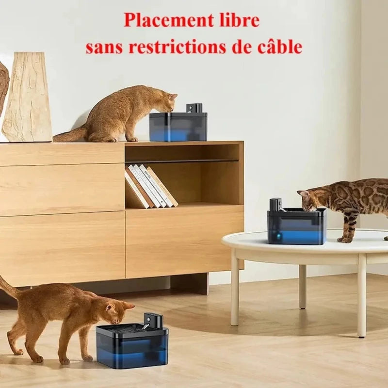 Fontana Per Gatti Senza Fili Silenziosa