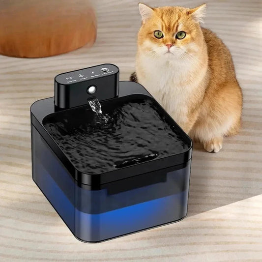 Fontana Per Gatti Senza Fili