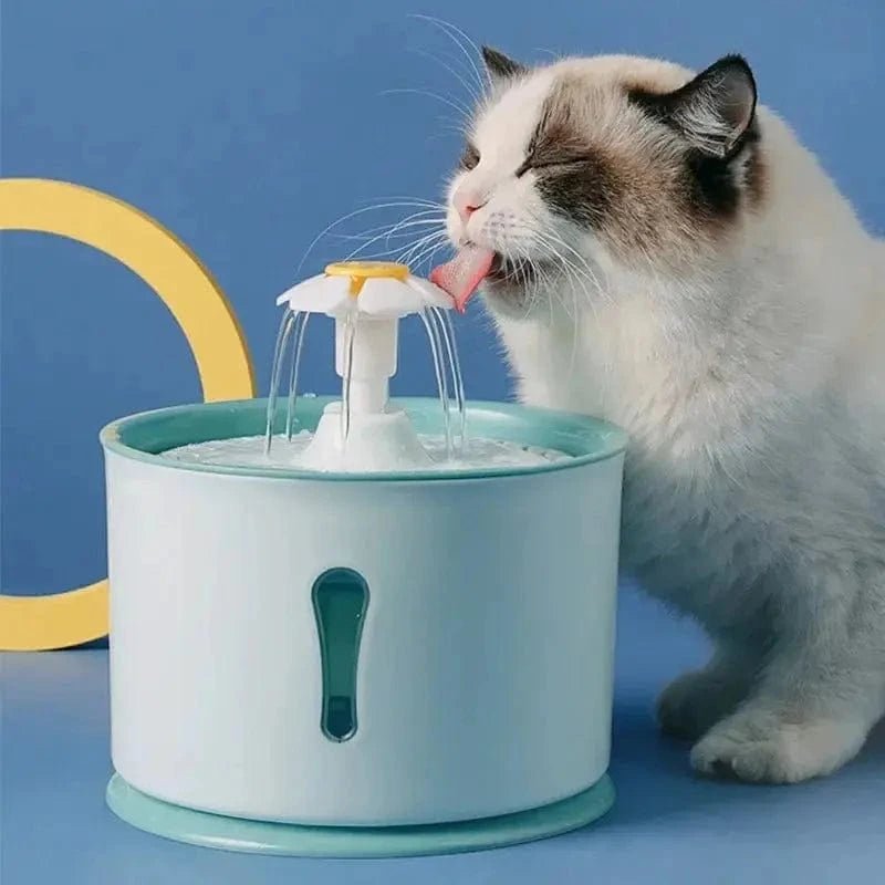 Fontanella Acqua Per Gatto